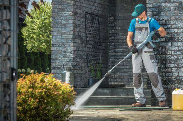 Best Fence Cleaning  in Windsor, IL